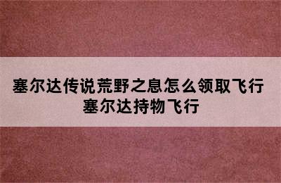 塞尔达传说荒野之息怎么领取飞行 塞尔达持物飞行